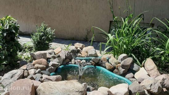 МИРРА в Иваново фото 5